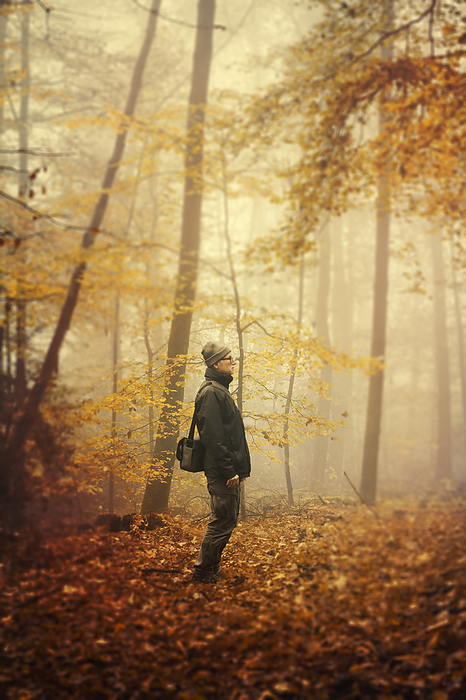 Senior man standing amidst autumn trees in a foggy forest, Photo by Dirk Wüstenhagen