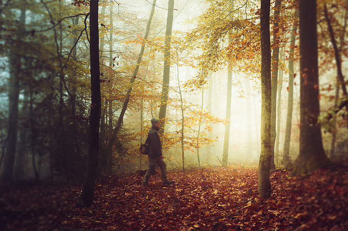 Senior man hiking in autumn forest, Photo by Dirk Wüstenhagen
