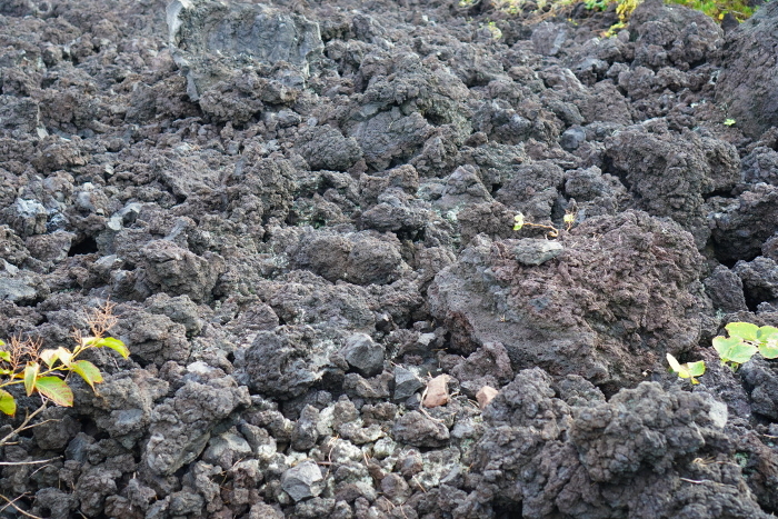 Close-up of lava (Miyakejima Island, Tokyo)