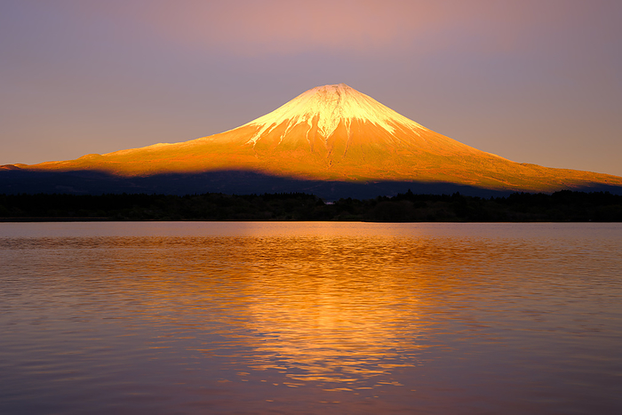 Mt. Fuji in golden light, Shizuoka Prefecture