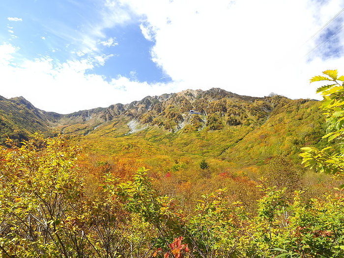 Tateyama Kurobe Alpine Route Autumn leaves Tateyama Town Toyama Pref. Taken from Kurobedaira