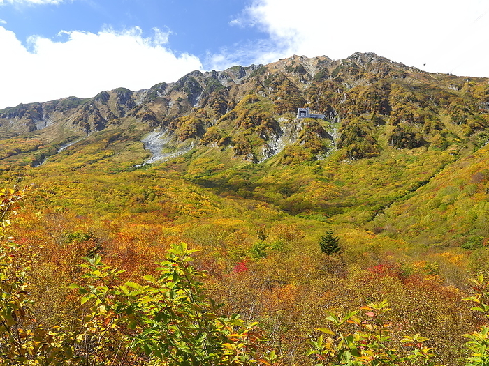 Tateyama Kurobe Alpine Route Autumn leaves Tateyama Town Toyama Pref. Taken from Kurobedaira