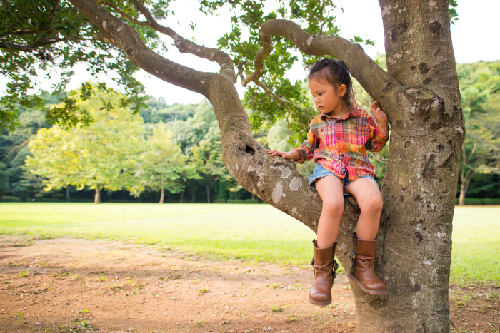 Girl climbing a tree