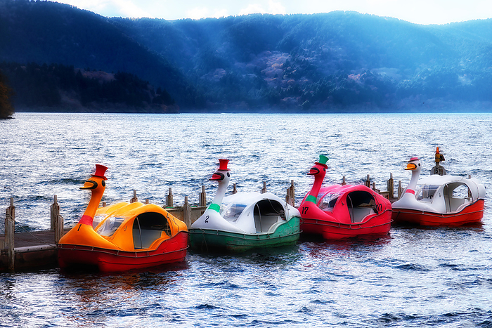 Lake Ashinoko Swan Boat