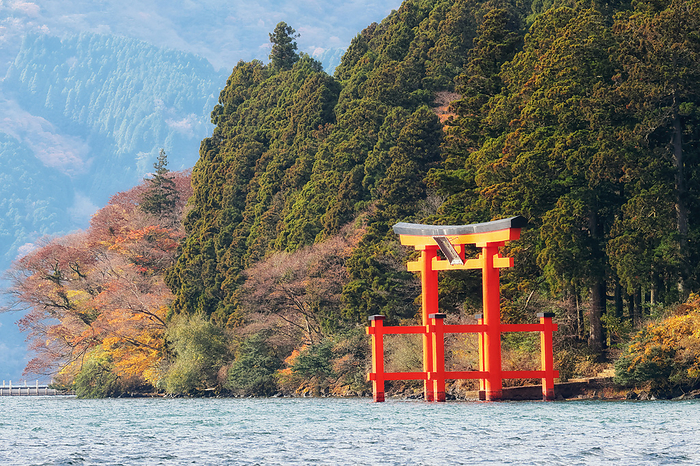 Torii of Peace and Autumn Leaves