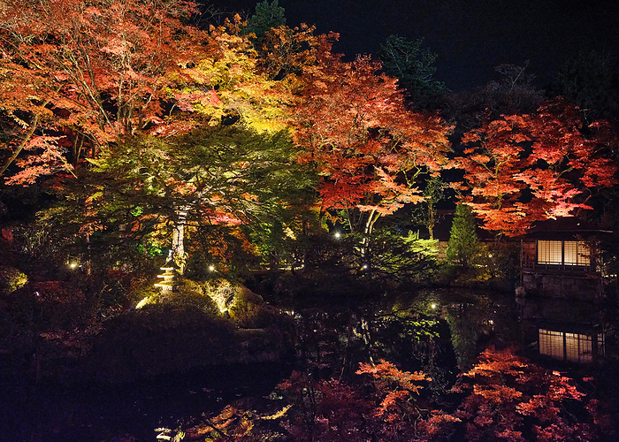 Shoyoen lit up with autumn leaves at Nikko-zan Rinnoji Temple, Tochigi Prefecture