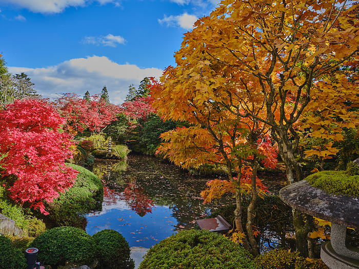 Shoyoen and pond with autumn leaves at Rinnoji Temple, Nikkozan, Tochigi