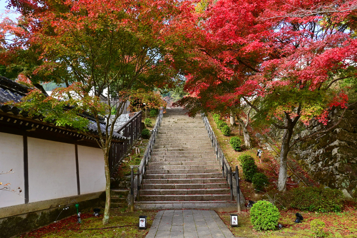 Stone steps on the approach to Saikyoji Temple in Otsu City, Shiga Prefecture, in autumn