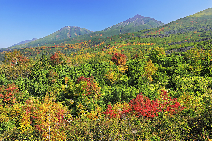 Hokkaido: Autumn colors of Bogakudai and Tokachidake mountain range
