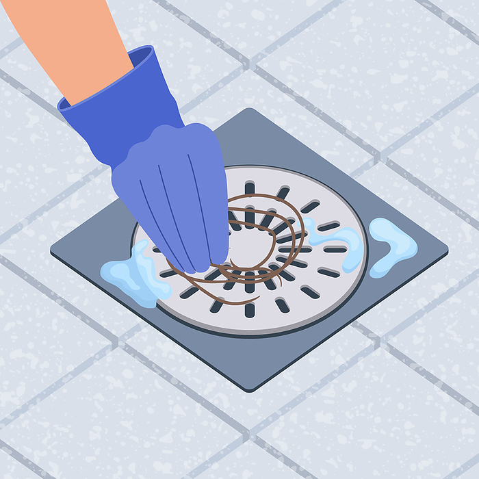 Hair loss, conceptual illustration Gloved hand removing hair clump from the shower drain, illustration., by ART4STOCK SCIENCE PHOTO LIBRARY