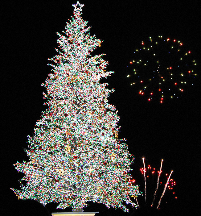 2022 Christmas season Christmas tree lit at the Kanamori Brick Warehouse complex in Hakodate, 6:02 p.m., December 1, 2022  photo by Kunihiko Misawa.
