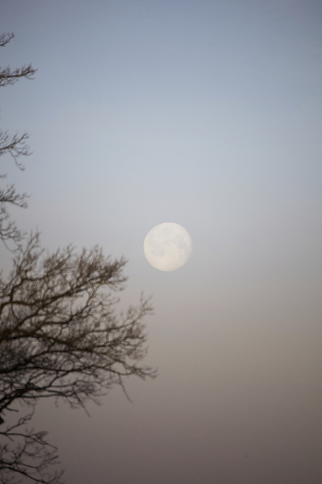 Moon, Photo by Aron Kühne
