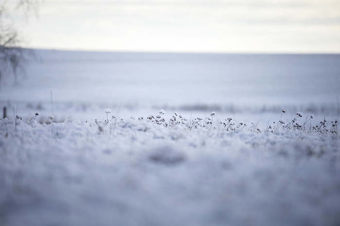 Snow landscape, Photo by Aron Kühne