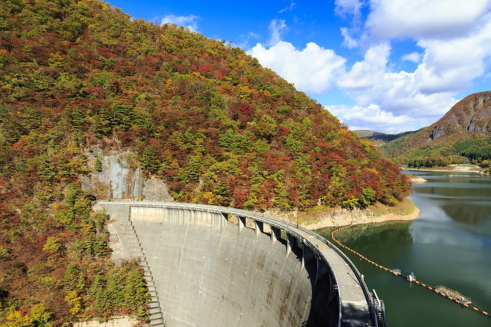 Naruko Dam, Osaki City, Miyagi Prefecture Autumn leaves