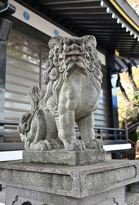 Tokyo Suga Shrine