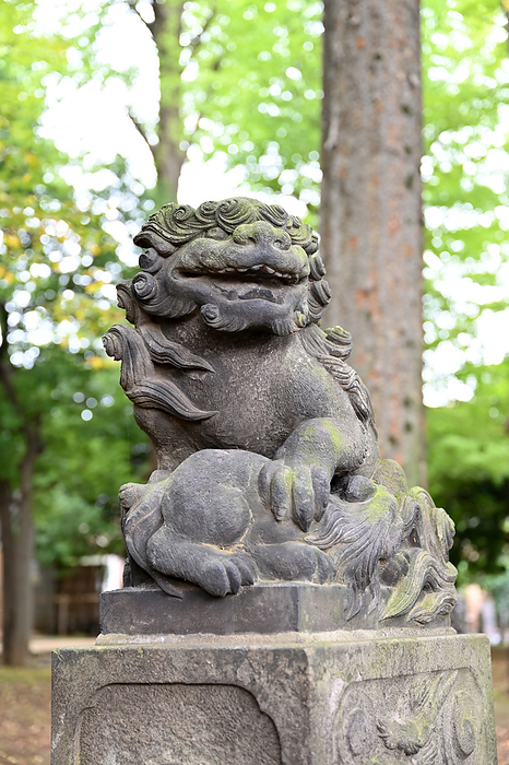 Himonya Hachiman Shrine, Tokyo