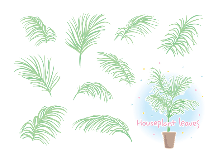 Leaf material for houseplants that can be combined