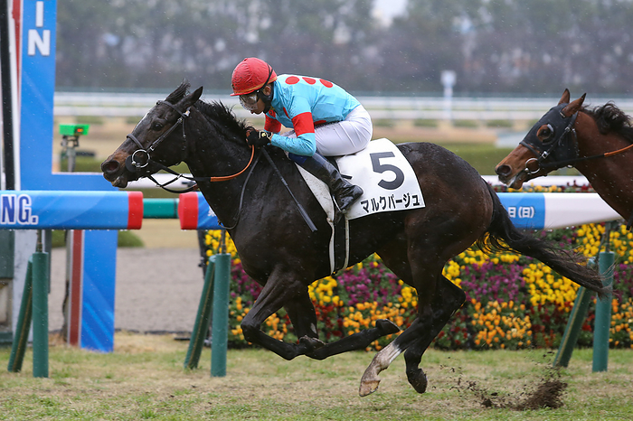 2022 JRA Hanshin Horse Racing Marque Page and Yasunari Iwata win the Hanshin 7R at Hanshin Racecourse in Hyogo, Japan.