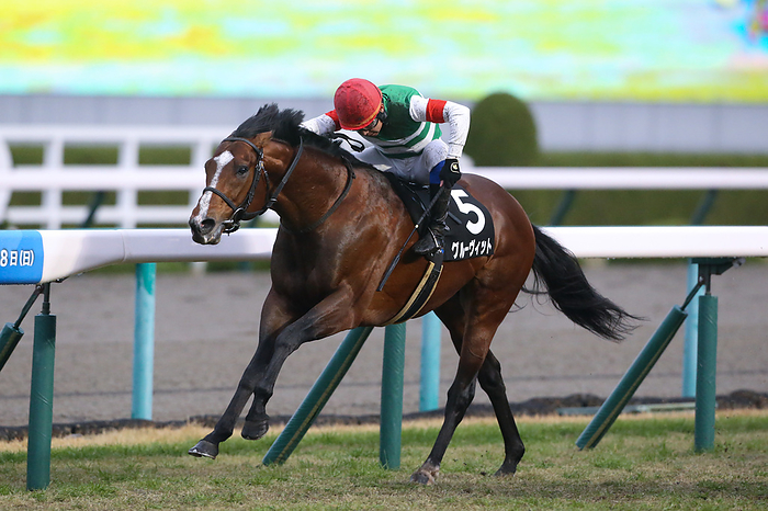 2022 JRA Hanshin Horse Racing Louvit   Groove It and Yasunari Iwata win the Tanzanite Stakes at Hanshin Racecourse in Hyogo, Japan, December 17, 2022.