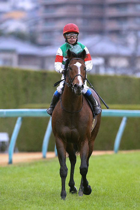 2022 JRA Hanshin Horse Racing          Groove It and Yasunari Iwata won the Tanzanite Stakes at Hanshin Racecourse in Hyogo, Japan., December 17, 2022.  Photo by Eiichi Yamane AFLO 