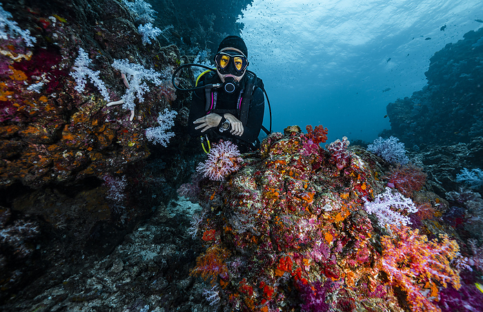 Diver exploring the tropical waters at the Andaman Sea in Thailand