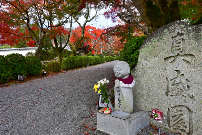 Walking along the approach to Saikyoji Temple in Otsu City, Shiga Prefecture, in autumn colors