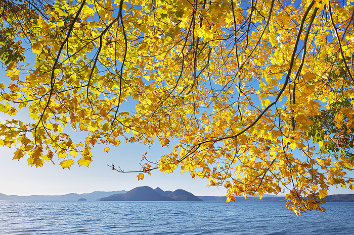 Lake Toya and Yellow Leaves (Autumn Color) Hokkaido