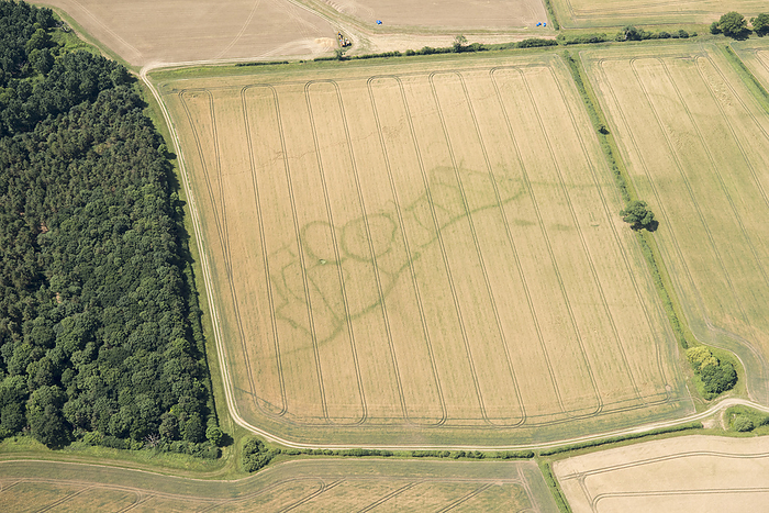 Cropmarks of an Iron Age and Roman settlement, West Northamptonshire, 2017. Creator: Damian Grady. Cropmarks of an Iron Age and Roman settlement, West Northamptonshire, 2017. Photo by: Damian Grady.