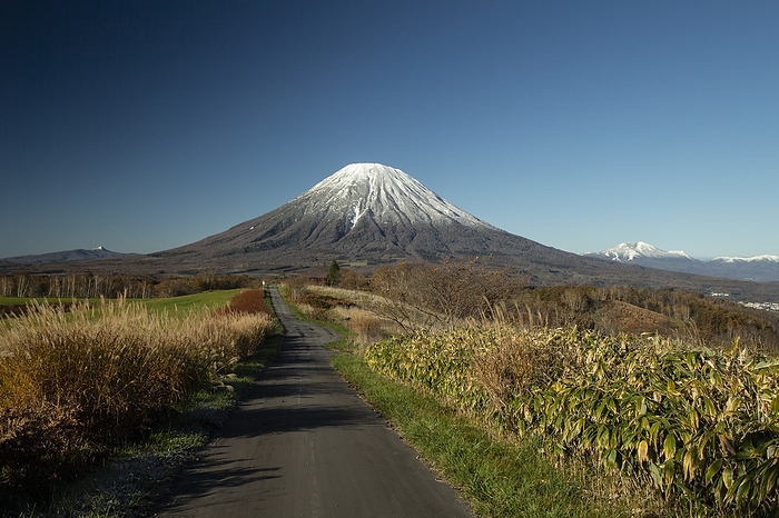 Mt. Youtei and the road