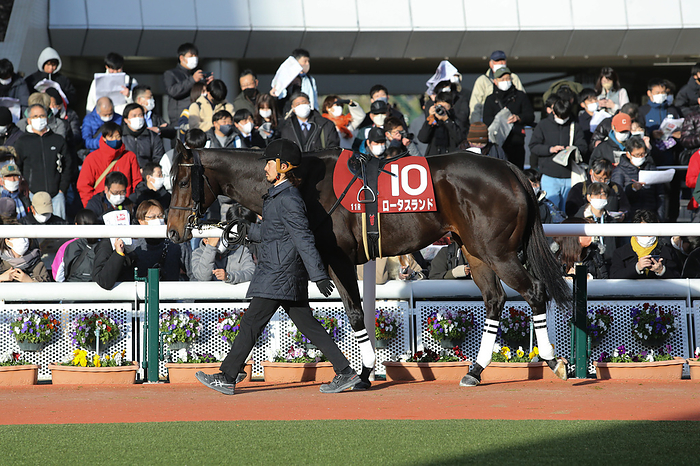2022 Hanshin Cup Lotus Land is led through the paddock before the Hanshin Cup at Hanshin Racecourse in Hyogo, Japan, December 24, 2022. AFLO 