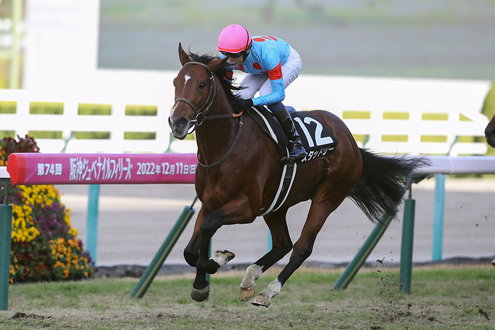 2022 Orion Stakes Studly Winner Studley and Ryusei Sakai win the Orion Stakes at Hanshin Racecourse in Hyogo, Japan, December 11, 2022. 