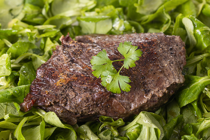 grilled steak on lamb s lettuce grilled steak on lamb s lettuce