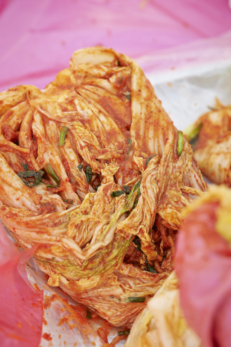 Woman's hand pickling Chinese cabbage kimchi Korean kimjang image