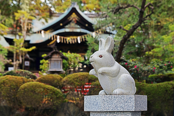 Okazaki Shrine Komawarabbit  Komainu  Agata Kyoto shi, Kyoto Rabbit shrine that has been talked about on TV: East Tenno, Okazaki Shrine in Kyoto