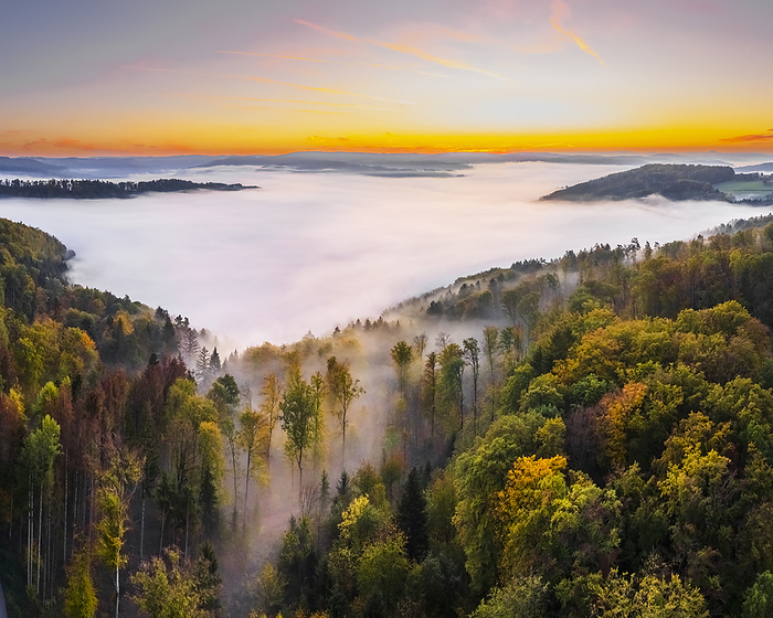 Germany, Baden-Wurttemberg, Drone view of Wieslauftal valley at foggy autumn sunrise