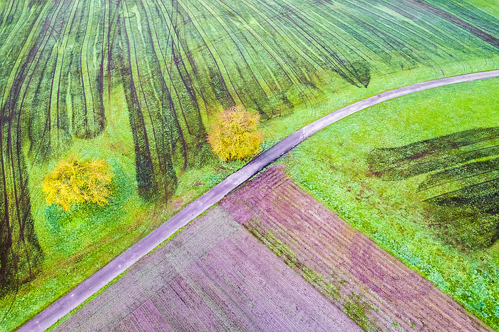 Germany, Baden-Wurttemberg, Drone view of autumn fields in Swabian-Franconian Forest