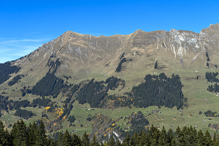 Mountain landscape of the Vaudois Alps on the tree line, Vaudois Alps, Vaud, Switzerland, Photo by Zoonar/Georg_A