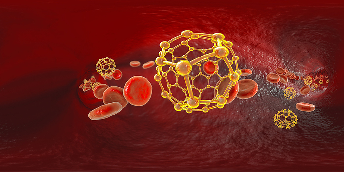 Fullerene nanoparticles in blood, illustration Fullerene nanoparticles in blood, conceptual computer illustration  not to scale . 360 degree panorama view inside blood vessel. Fullerenes are carbon nanoparticles, nanomolecular carbon cages that can be used to deliver drugs and imaging agents to organs., by KATERYNA KON SCIENCE PHOTO LIBRARY