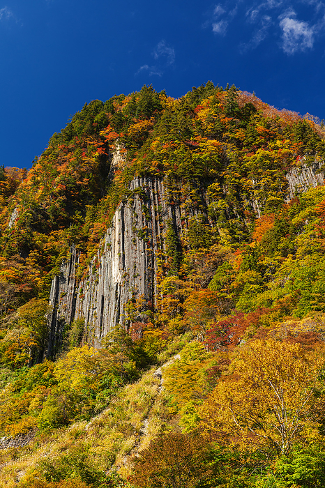Autumn Foliage in Akiyamago, Nagano Prefecture