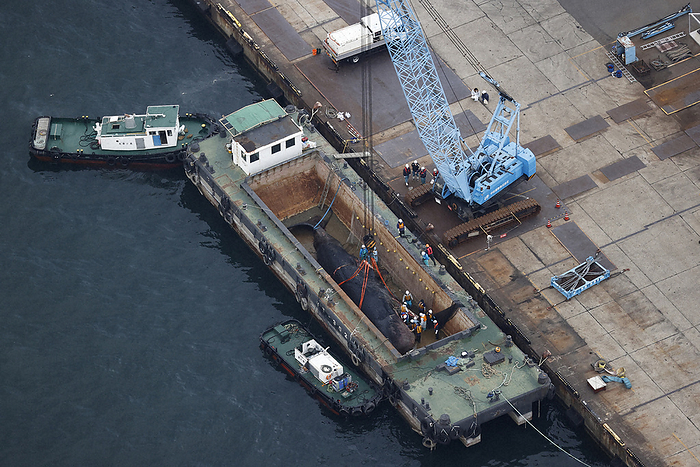 Whale dies near the mouth of the Yodogawa River in Osaka Bay Sperm whale being loaded onto a ship in Konohana ku, Osaka, at 3:29 p.m. on January 18, 2023, from the head office helicopter.