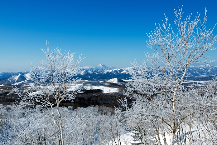 Hokkaido - Mt. Ouaman with ice trees