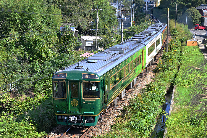 Kiha185 Series, Shikoku Mannaka Millennium Monogatari, rounding a curve on the Dosan Line, Tokushima Prefecture Taken at Tsukuda Station   Awa Ikeda Station