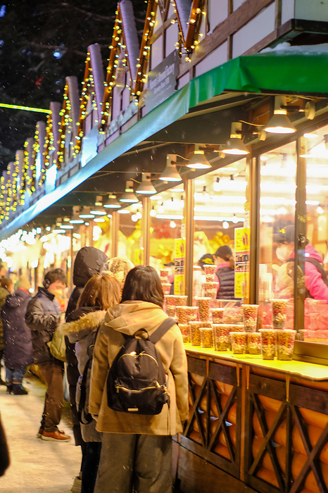 Munich Christmas Market in Sapporo