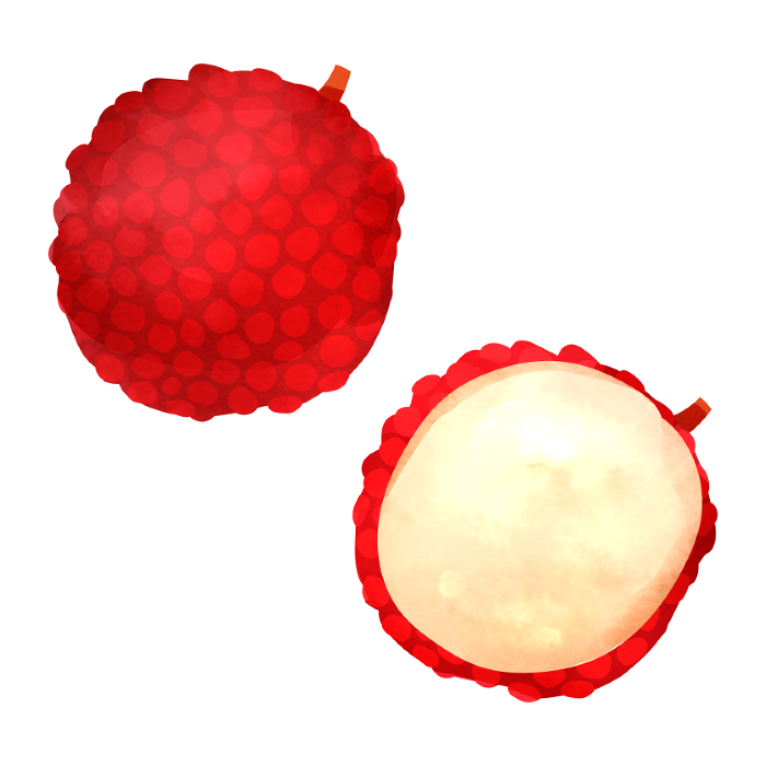 Clip art of lychee