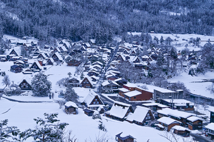 Gifu] Shirakawa-go in the snow, with the lights on, was a wonderful sight to see.