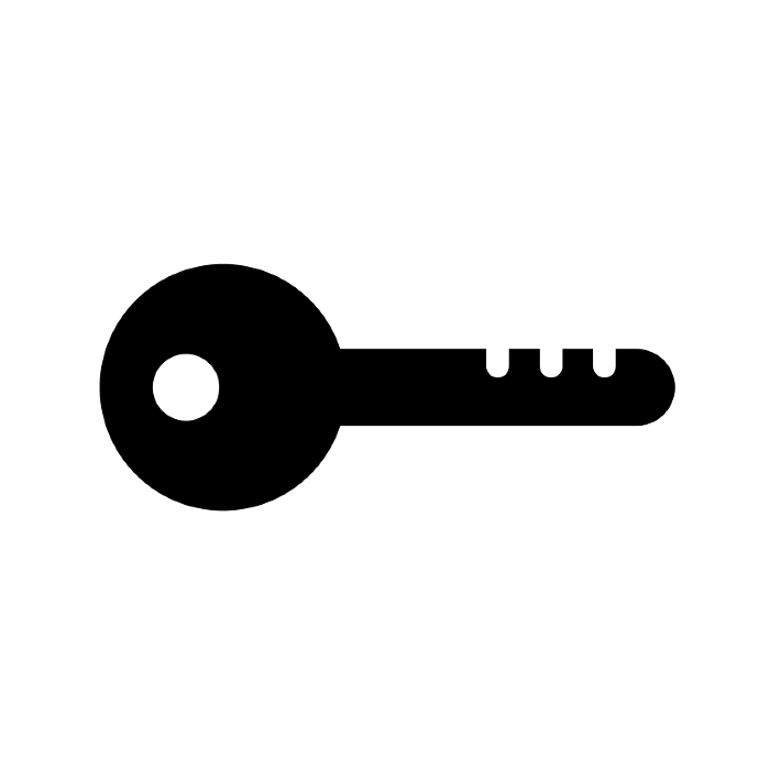Silhouette icon of key. Entrance key. Lock. Vector.