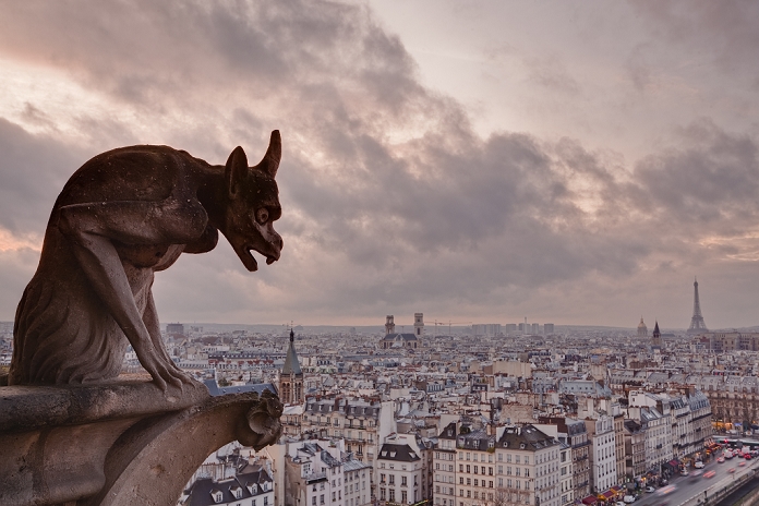 France A gargoyle on Notre Dame de Paris cathedral looks over the city, Paris, France, Europe Please note that the view may have changed due to the fire.
