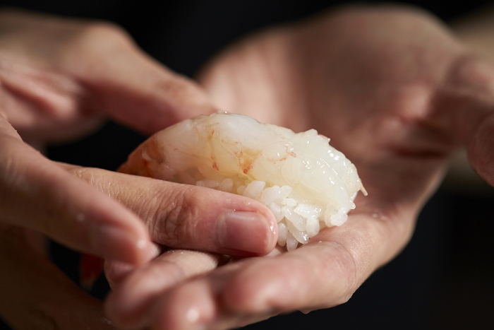 Man's hand holding a nigirizushi of shrimp