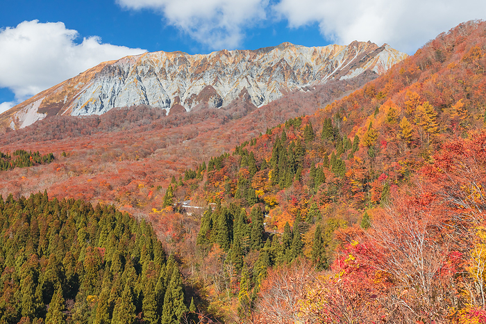 Hoki Daisen in Autumn, Tottori Pref. View of the south face of Mt.