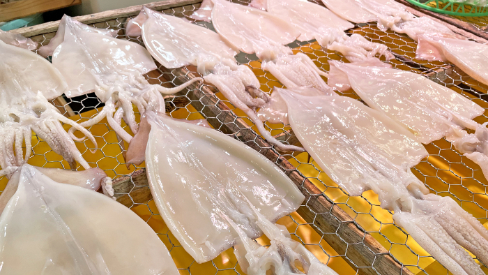 Dried squid, dried overnight at Numazu Port, Shizuoka Prefecture Numazu Fish Market